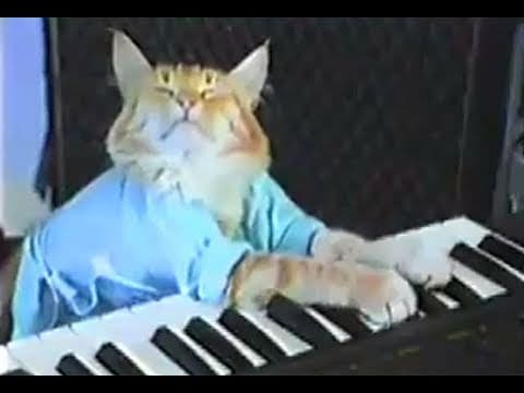 Keyboard Cat  preview image